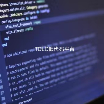 TDLC低代码平台